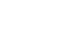 logo-pontelli